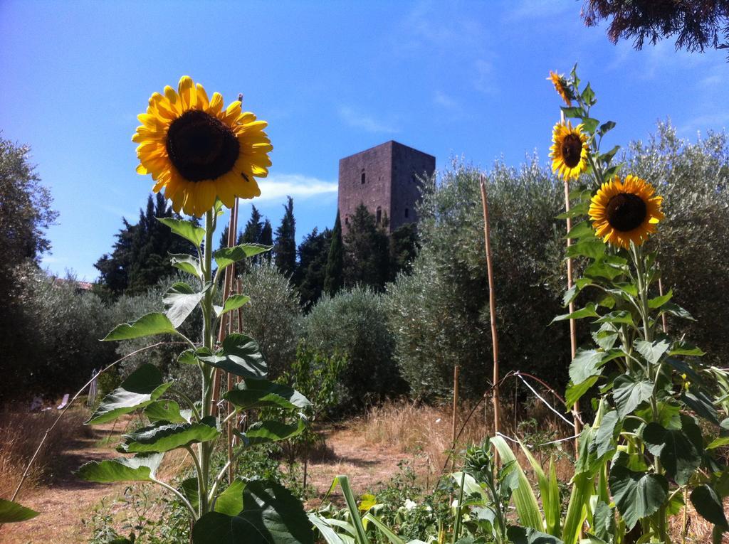 Torre Dei Belforti Монтекатини Вал ди Чечина Екстериор снимка